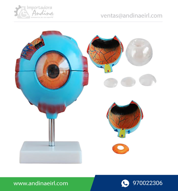 MODELO DE OJO TM-316-Andinda-EIRL-Lima-Peru